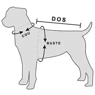 Guide des tailles pour chiens pour le choix de colliers, harnais et vêtements